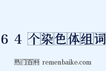 64个染色体组词是什么意思的图片